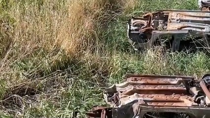 Puglia: "gravi danni ambientali in Capitanata tra auto cannibalizzate e roghi di scarti di lavorazione" - VIDEO