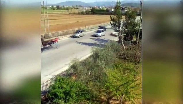 Corse clandestine, spaccio e usura: il blitz della polizia contro il clan dei sinti a Sora