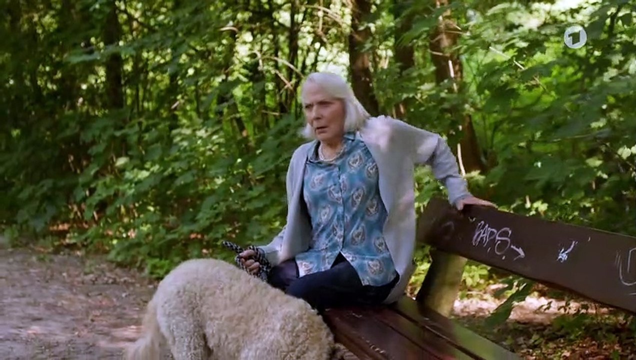 Die Kanzlei: Blutlinien | Folge 57