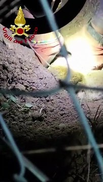 Livorno, cane intrappolato in un tubo di scarico sotto terra