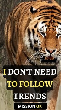 The Trend - Sigma rule | WhatsApp status | #attitudestatus #shorts #quotes #attitude