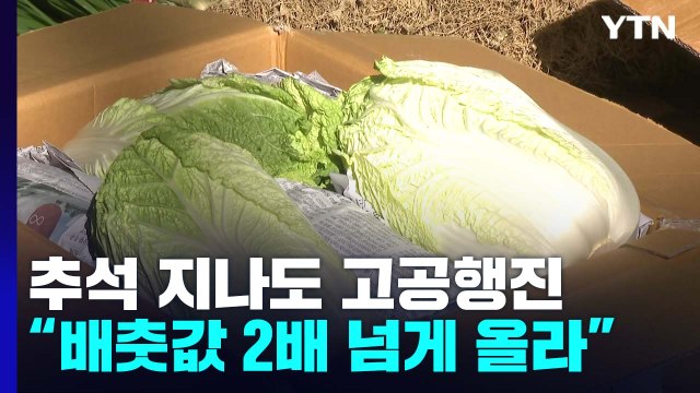 손님 떠날까봐 걱정 ...채솟값 고공행진에 상인도 소비자도 '울상' / YTN