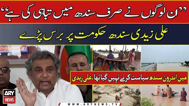 Inn logon nay Sindh mei sirf tabahi ki hai , Ali Zaidi ki Sindh Hakumat pay Tanqeed