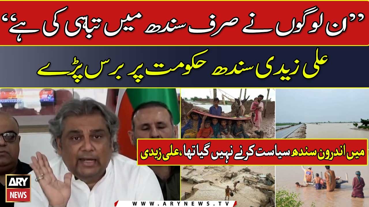 "Inn logon nay Sindh mei sirf tabahi ki hai", Ali Zaidi ki Sindh Hakumat pay Tanqeed