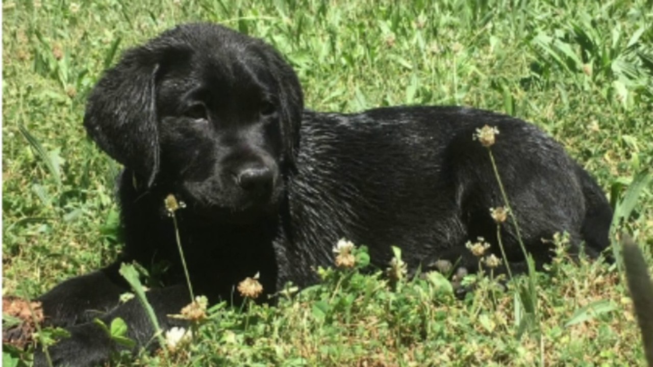 interview de Margaux Passeri Chargée de communication et collecte au micro de Davy Moisson