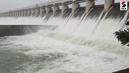 ભાવનગરની જીવાદોરી એવાં શેત્રુંજી ડેમના 59 દરવાજા ખોલવામાં આવ્યાં