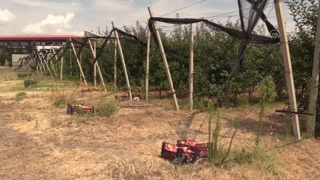 Erciyes Üniversitesinde döküntü elmalar probiyotik sirkeye dönüştürülüyor