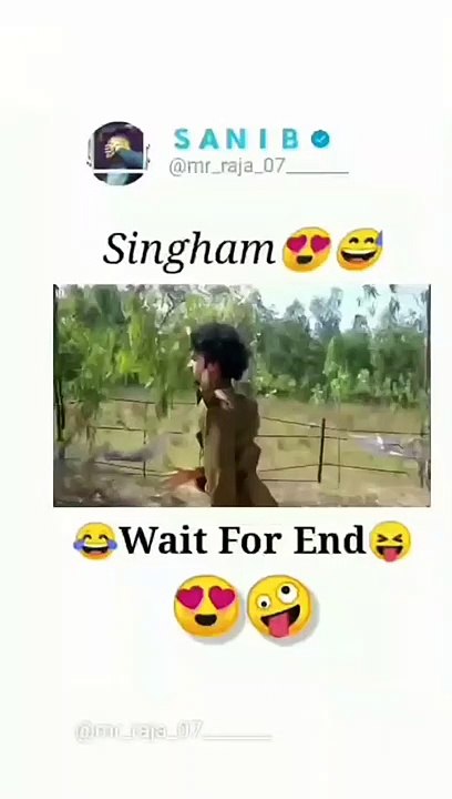 Funny video of singham