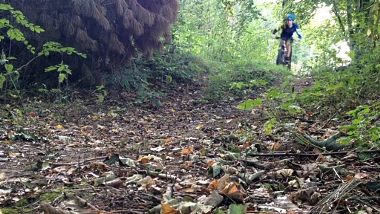 Forest_biKE
