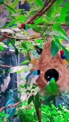 Buenos días a mis seguidores