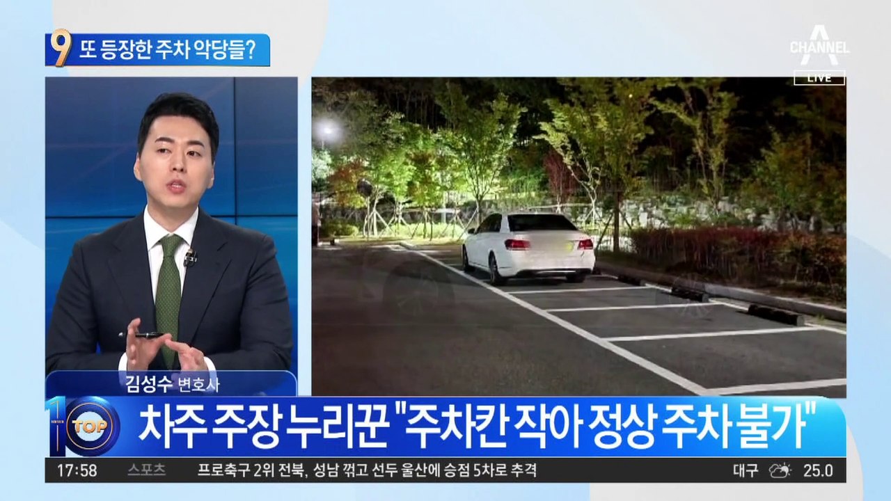 ‘가로 주차’ 참교육했더니…또 등장한 주차 악당들?