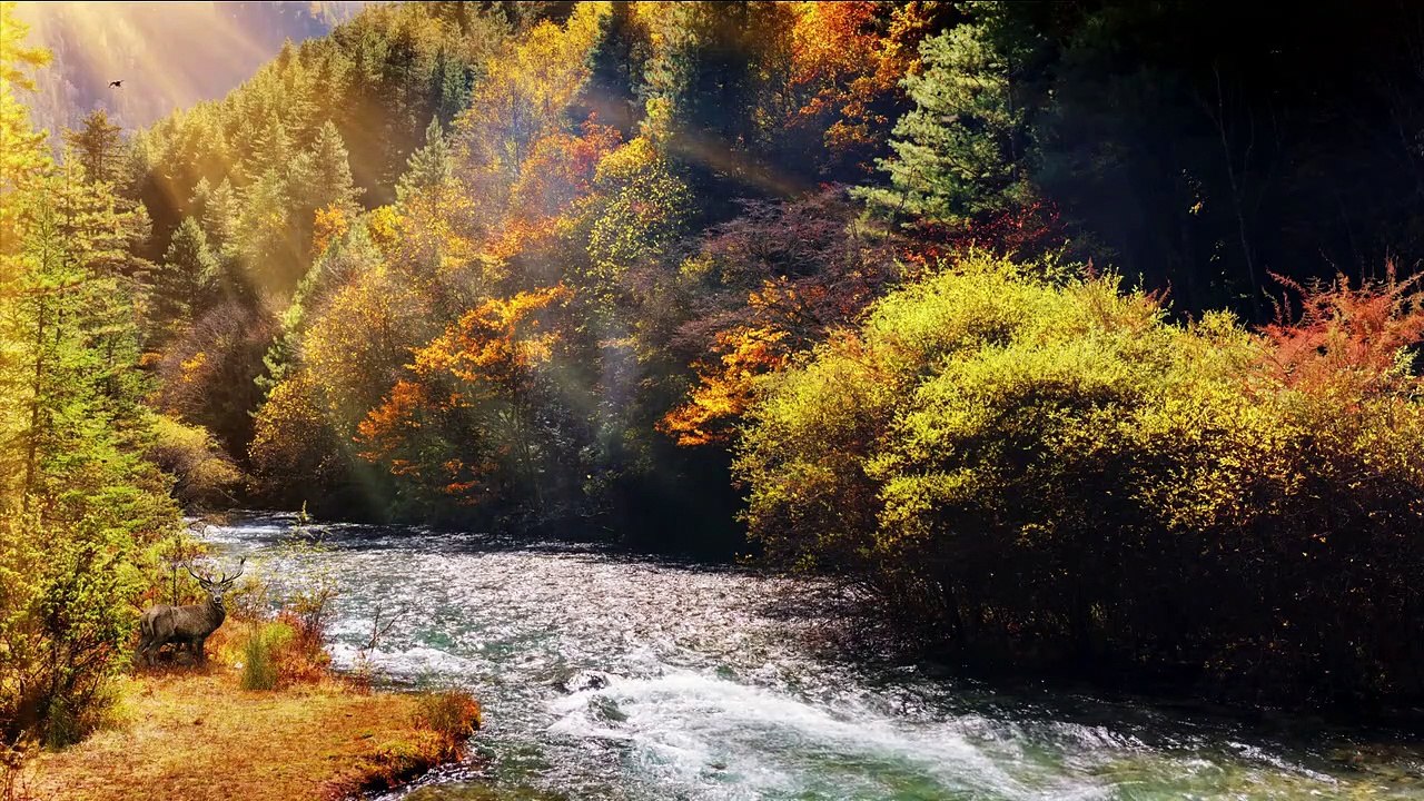 21 minutes  of Amazing Nature Scenery & Relaxing Music for Stress Relief