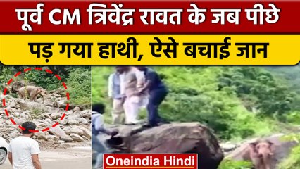 Uttrakhand: पूर्व CM Trivendra Singh के काफिले के पीछे पड़ा हाथी, फिर.. | वनइंडिया हिंदी |*News