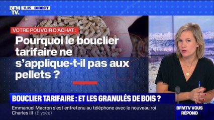 Pourquoi le bouclier tarifaire ne s'applique-t-il pas aux pellets? BFMTV répond à vos questions