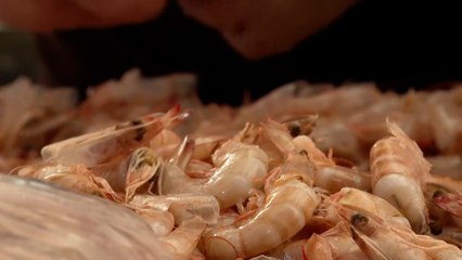 العقوبات الأميركية وتداعياتها على صادرات الروبيان الإيراني