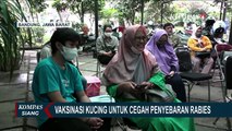 Maraknya Penyakit Rabies di Bandung, Dinas Ketahanan Pangan & Pertanian Gelar Vaksinasi Gratis!