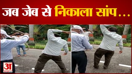 UP News: इलाहाबाद विश्वविद्यालय में फूड टेक्नोलॉजी परिसर में दिखा सांप | Prayagraj