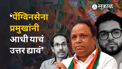 Ashish Shelar on Uddhav Thackeray: वेदांता फॉक्सकॉन प्रकल्पावरुन आशिष शेलारांचा ठाकरेंवर हल्लाबोल