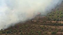 İzmir haber | Foça'da Orman Yangını