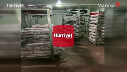 Kokoreç imalathanesinde tepki çeken görüntüler! İnceleme başlatıldı