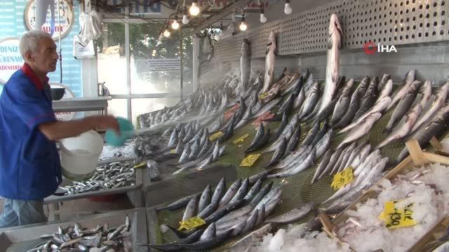 Denizlerde palamut bolluğu: Fiyatı 20 liraya kadar düştü