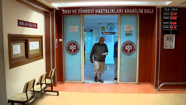 İstanbul'da sivrisinek kabusu: Vatandaşlar hastanelere akın etti