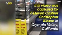 Brown Bear Shows Up, Dines and Dashes at California 7-Eleven