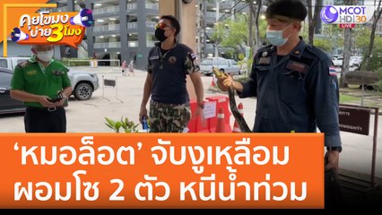 'หมอล็อต' จับงูเหลือมผอมโซ 2 ตัว หนีน้ำท่วม! ในสวนหย่อม (15 ก.ย. 65) คุยโขมงบ่าย 3 โมง