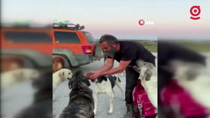 Böyle sevgi görülmedi, her gün peşinden yüzlercesi koşuyor