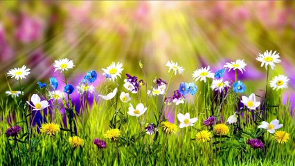 Soothing relaxing music for Deep Sleeping and Stress Relief your body.