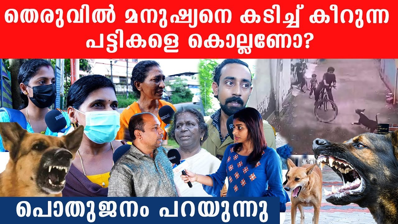 മനുഷ്യനെ പിച്ചിക്കീറുന്ന പേപ്പട്ടികളെ കൊല്ലുന്ന...