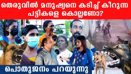 മനുഷ്യനെ പിച്ചിക്കീറുന്ന പേപ്പട്ടികളെ കൊല്ലുന്നത് തെറ്റോ? ജനം പറയുന്നു | Think About It | Stray Dogs