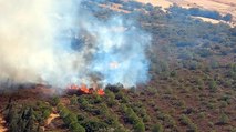 İzmir’de makilikte çıkan yangın ormana da sıçradı