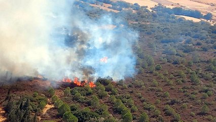 Download Video: İzmir’de makilikte çıkan yangın ormana da sıçradı