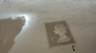 Sand artist releases 'goodbye' to late Queen featuring first class stamp with portrait on beach