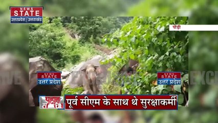 Pauri News: हाथी ने रोका पूर्व सीएम का काफिला