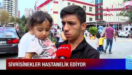 Şişlik, yanma ve dayanılmaz  bir kaşıntı.... İstanbul'da hastaneye koşan koşana!