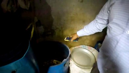 মাছে রং মিশিয়ে দেশী মাছ বলে বিক্রয় -- DNCRP market monitoring