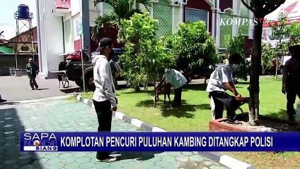 Beraksi Berulang Kali di Gunungkidul Yogyakarta, 2 Pencuri Kambing Berhasil Diamankan Polisi!
