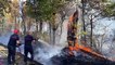 Incendie en France : le feu près de Saumos en Gironde "contenu"