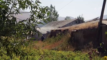 Armênia e Azerbaijão respeitam cessar-fogo após combates na fronteira