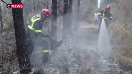 Incendie en Gironde : le feu n'a pas progressé dans la nuit