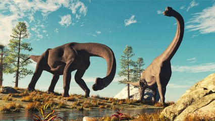 Les dinosaures étaient-ils herbivores ?