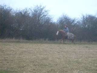 AU GALOP LES MOULES !