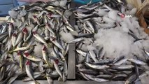 Isparta yerel haberi: Balık avı sezonunun başlaması ile Isparta'da balık tezgahları doldu