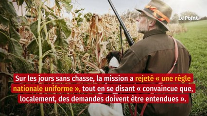 Le Sénat propose d’instaurer un délit d’entrave à la chasse