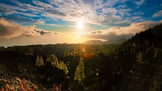 Música de piano relaxante - relaxing piano music