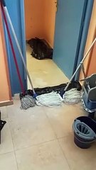 Inundación en el colegio San Claudio de León