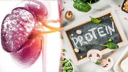 Protein का ज्यादा सेवन खतरनाक,किडनी से लेकर मांसपेशियों पर बुरा असर | Boldsky *Health