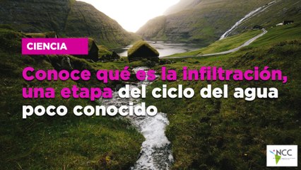 Conoce qué es la infiltración, una etapa del ciclo del agua poco conocido